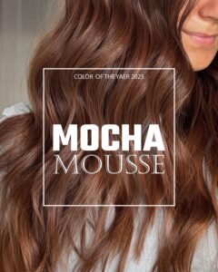 Mocha Mousse